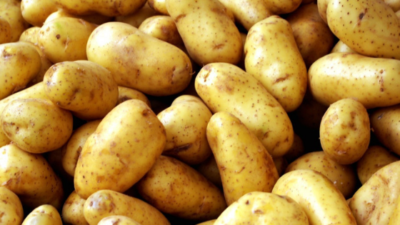 variedades de batatas - Batata Inglesa - Teqma