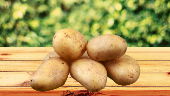 variedades de batatas - batata monalisa - Teqma